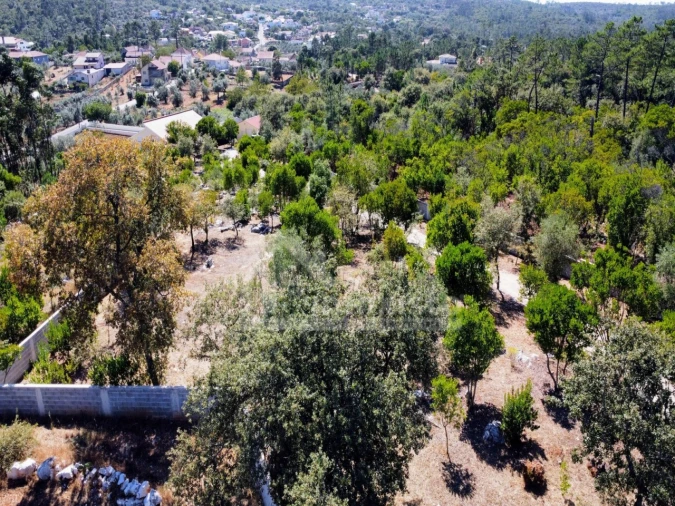 Moradia T5 para Venda em Degracias e Pombalinho Foto 69