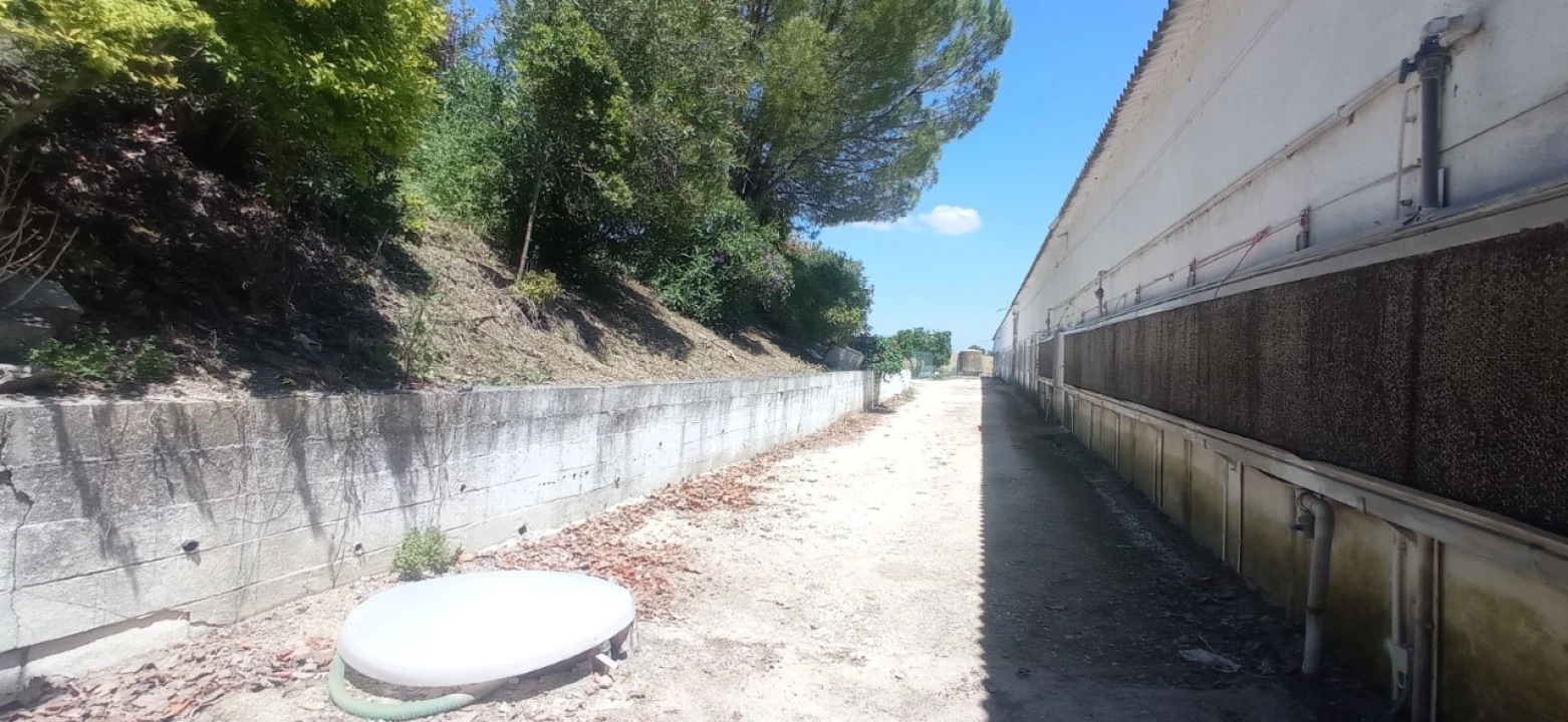 Armazém para Venda em Achete, Azoia de Baixo e Póvoa de Santarém Foto 4