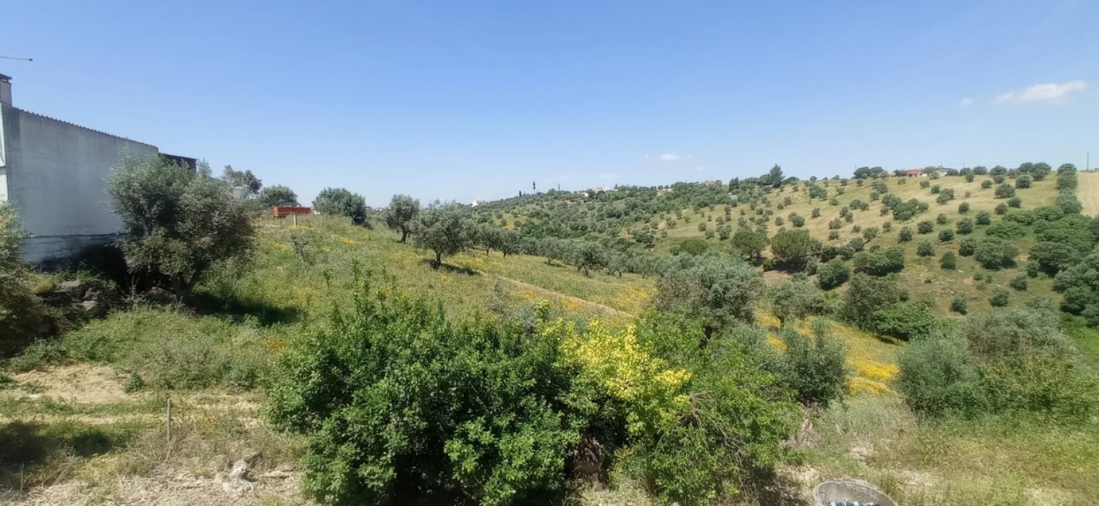 Armazém para Venda em Achete, Azoia de Baixo e Póvoa de Santarém Foto 5