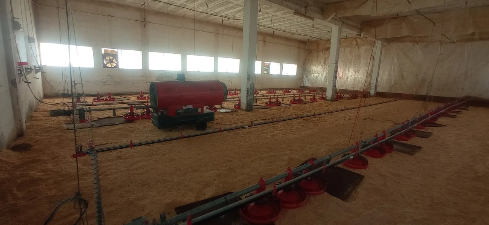 Armazém para Venda em Achete, Azoia de Baixo e Póvoa de Santarém Foto 8