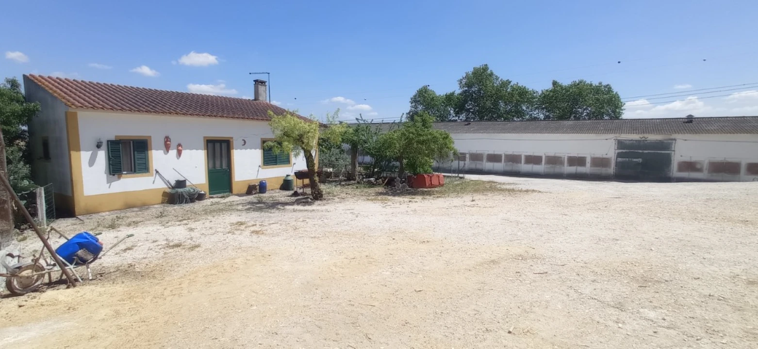 Armazém para Venda em Achete, Azoia de Baixo e Póvoa de Santarém Foto 12