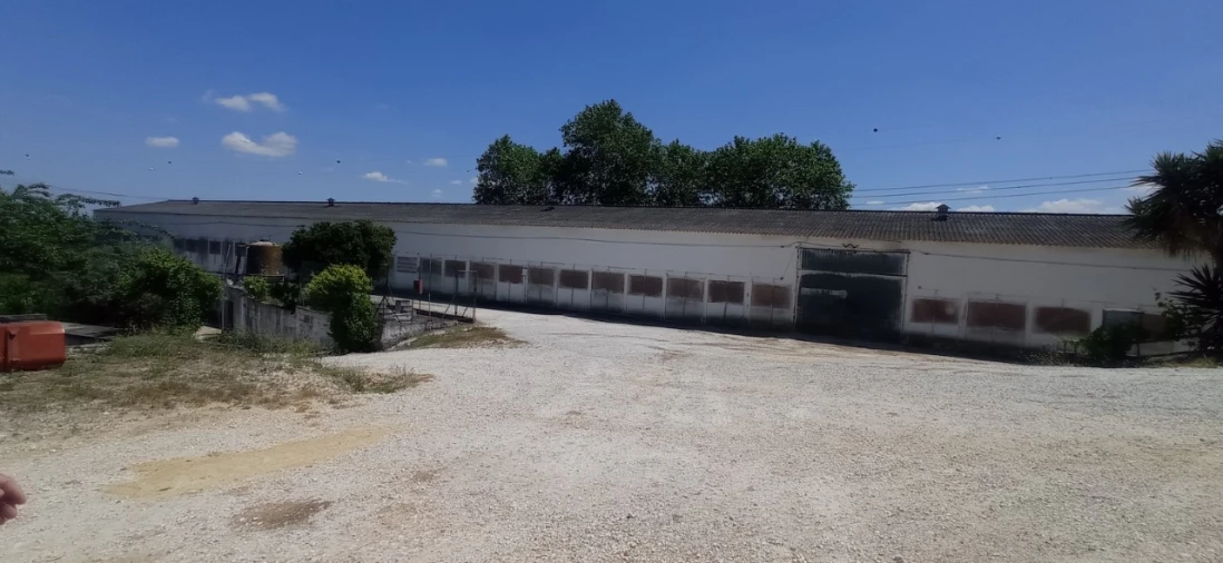 Armazém para Venda em Achete, Azoia de Baixo e Póvoa de Santarém Foto 2