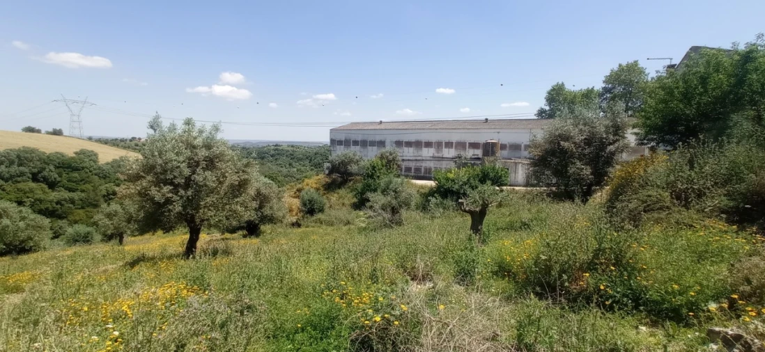 Armazém para Venda em Achete, Azoia de Baixo e Póvoa de Santarém Foto 1