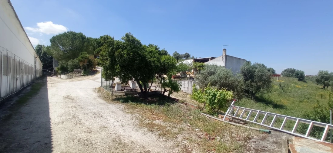 Armazém para Venda em Achete, Azoia de Baixo e Póvoa de Santarém Foto 3