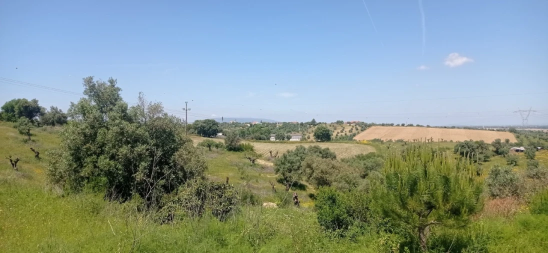 Armazém para Venda em Achete, Azoia de Baixo e Póvoa de Santarém Foto 11