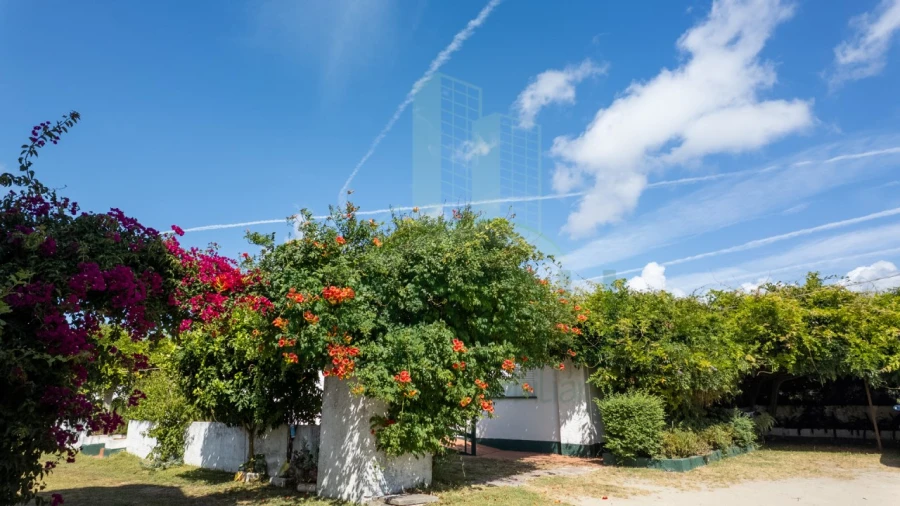 Negócio para Venda em Seixas Foto 30