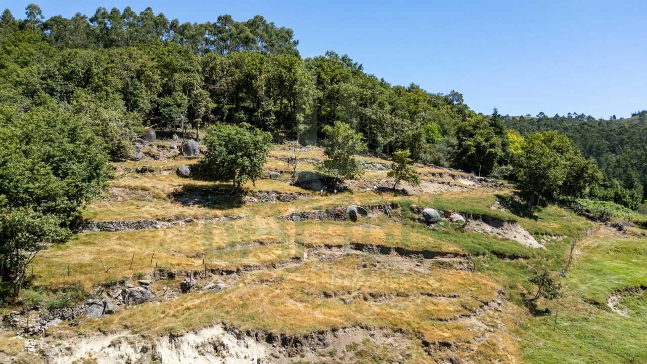 Quinta para Venda em Labruja Foto 11