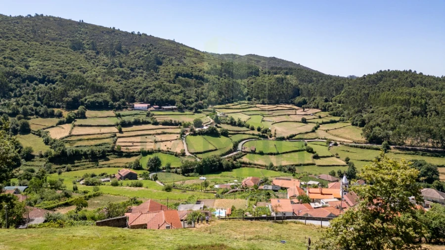 Quinta para Venda em Labruja Foto 12