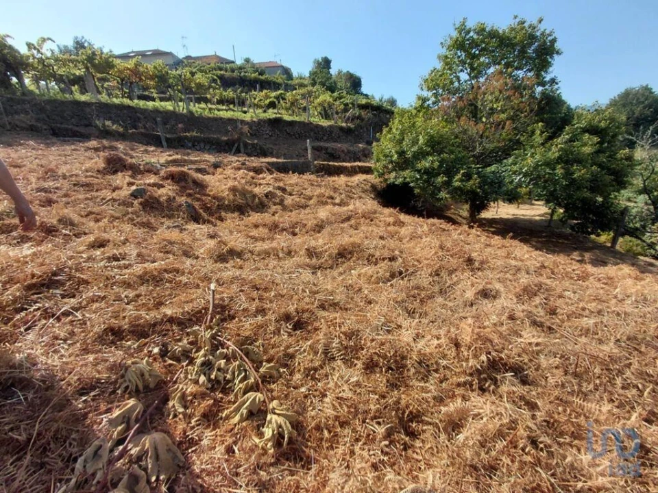Terreno para Venda em Vila e Roussas Foto 2