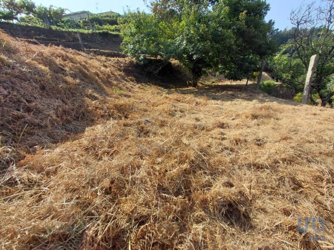 Terreno para Venda em Vila e Roussas Foto 5