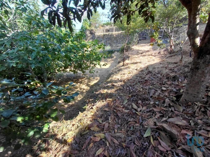 Terreno para Venda em Vila e Roussas Foto 3