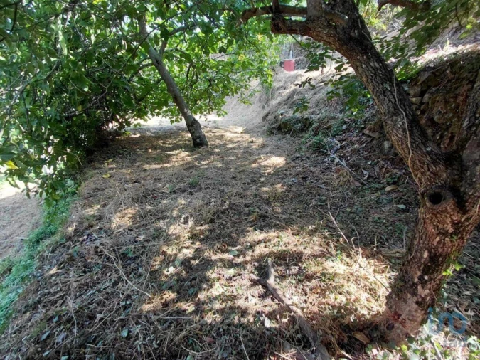 Terreno para Venda em Vila e Roussas Foto 7