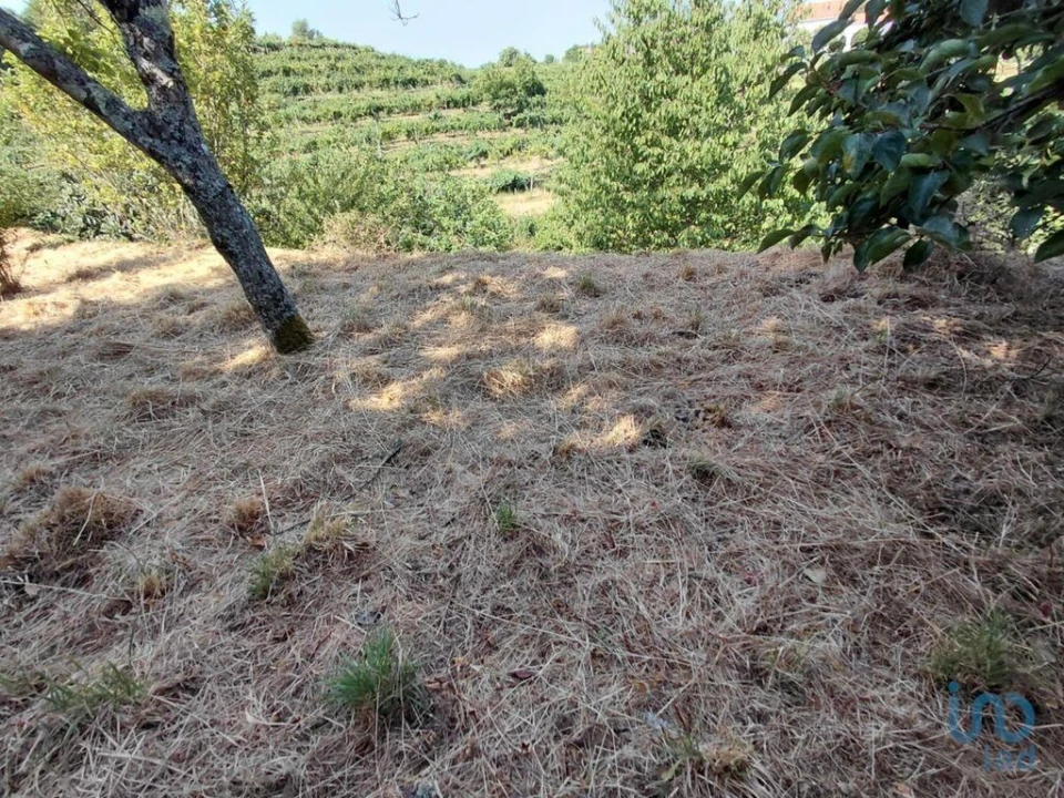 Terreno para Venda em Vila e Roussas Foto 6