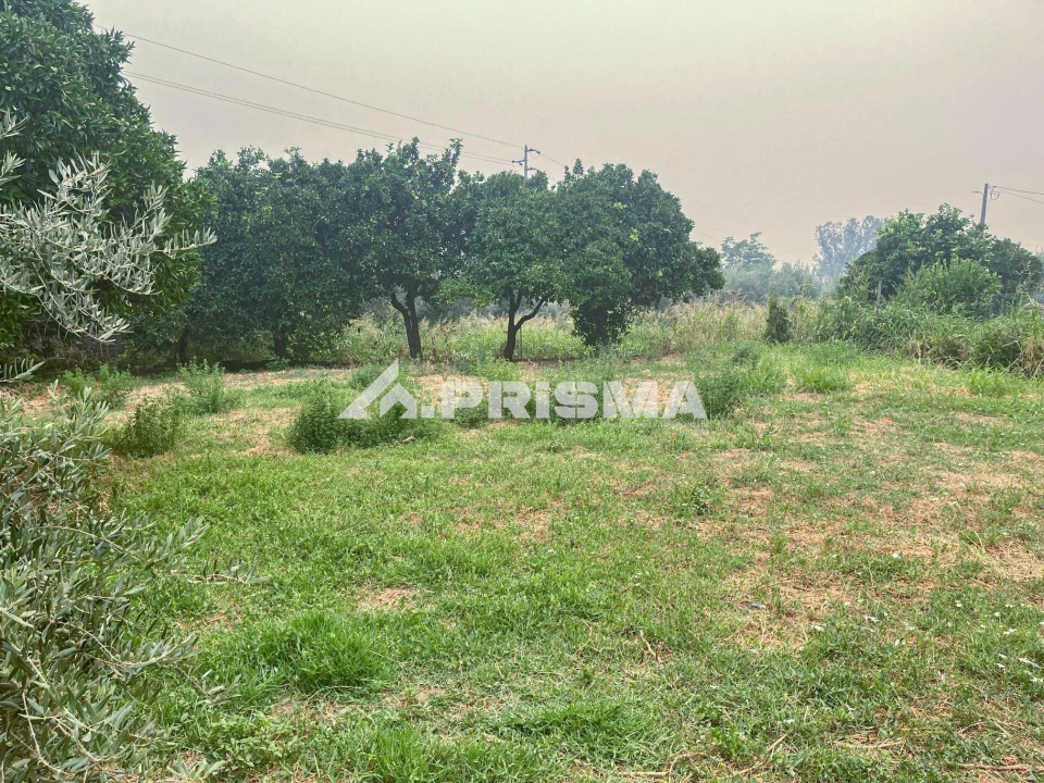 Moradia T3 para Venda em Soalheira Foto 42