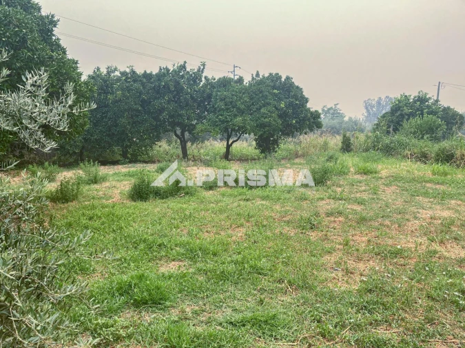 Moradia T3 para Venda em Soalheira Foto 42