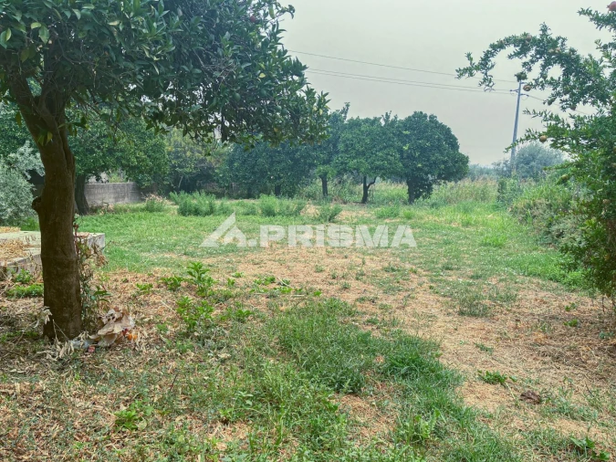 Moradia T3 para Venda em Soalheira Foto 39