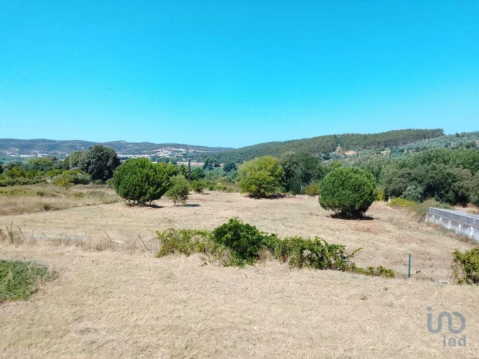 Moradia T4 para Venda em Abrantes (São Vicente e São João) e Alferrarede Foto 13