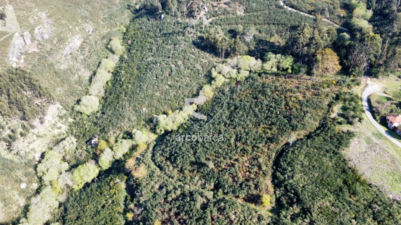 Terreno para Venda em Gondufe Foto 15