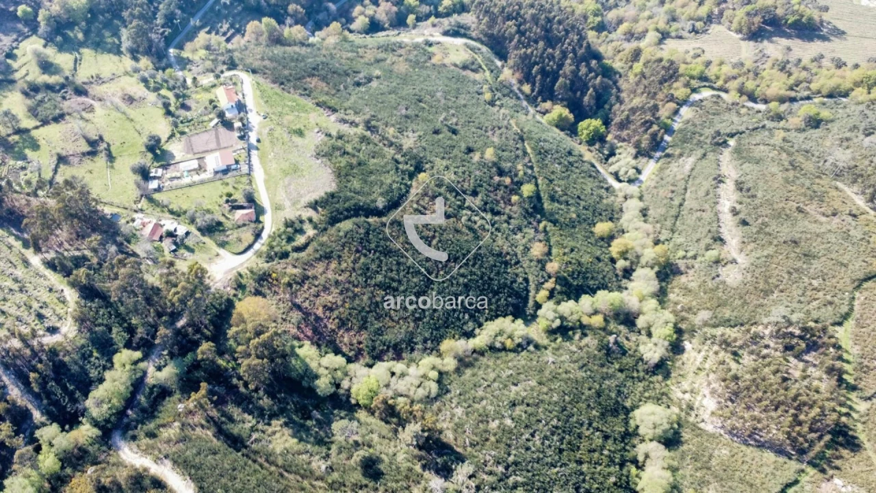 Terreno para Venda em Gondufe Foto 24