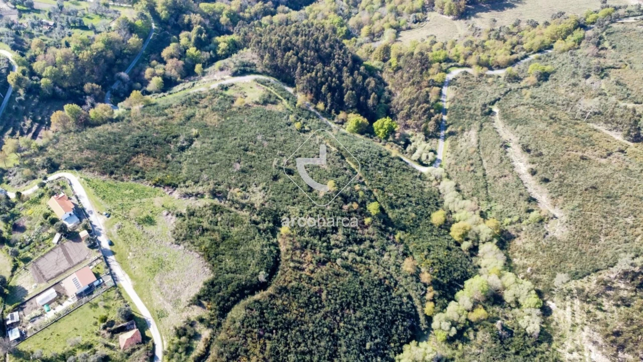 Terreno para Venda em Gondufe Foto 25