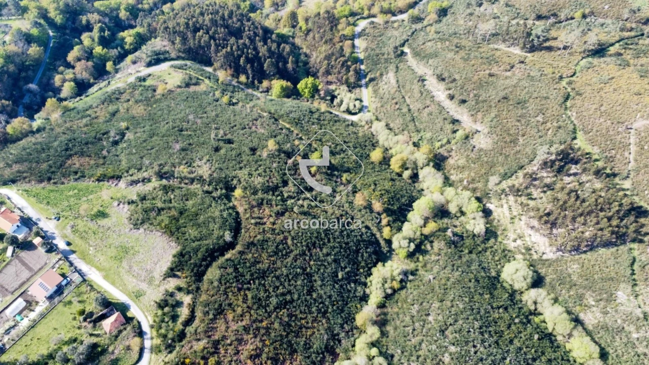 Terreno para Venda em Gondufe Foto 19