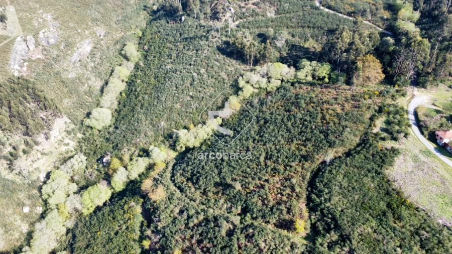 Terreno para Venda em Gondufe Foto 15