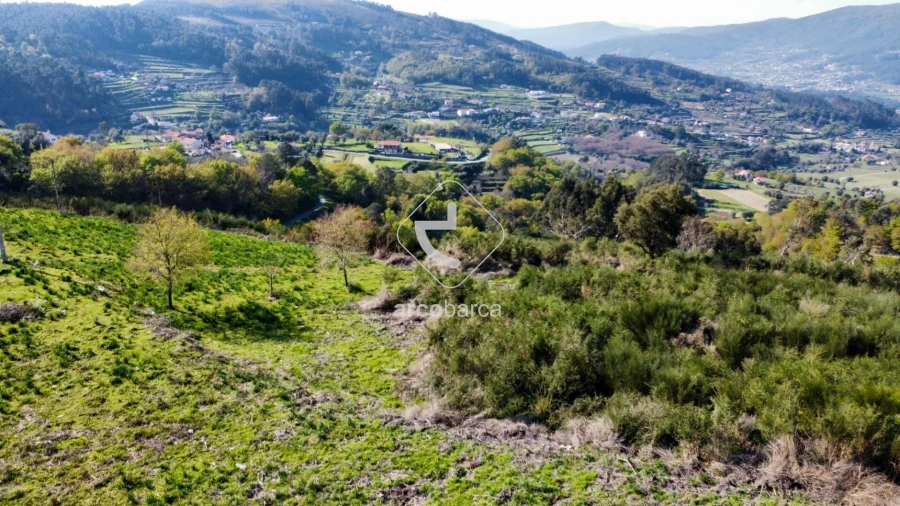 Terreno para Venda em Gondufe Foto 11
