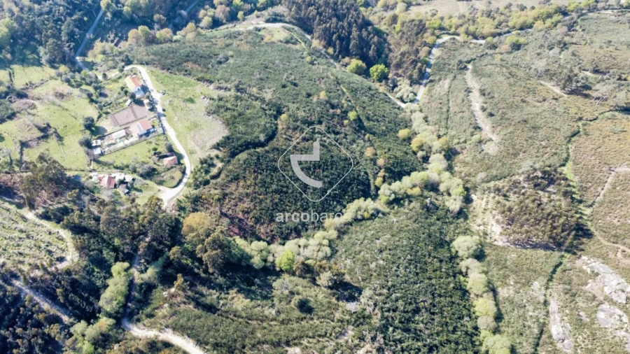 Terreno para Venda em Gondufe Foto 22