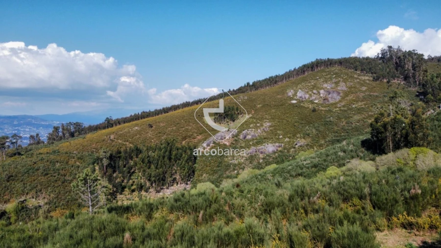 Terreno para Venda em Gondufe Foto 9