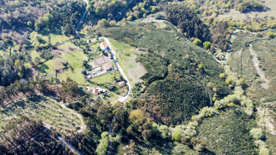 Terreno para Venda em Gondufe Foto 21