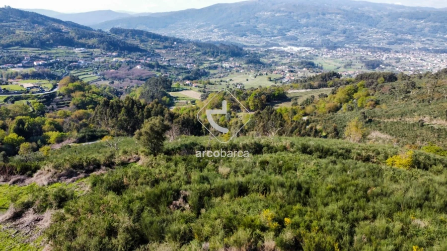Terreno para Venda em Gondufe Foto 12