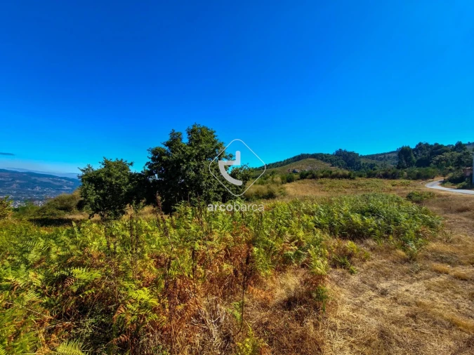Terreno para Venda em Gondufe Foto 5