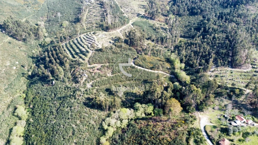 Terreno para Venda em Gondufe Foto 16