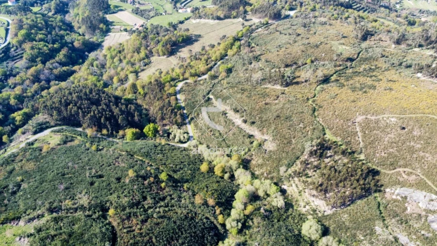 Terreno para Venda em Gondufe Foto 20