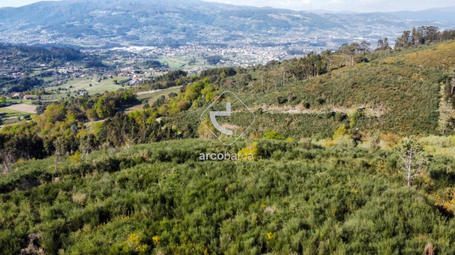Terreno para Venda em Gondufe Foto 13