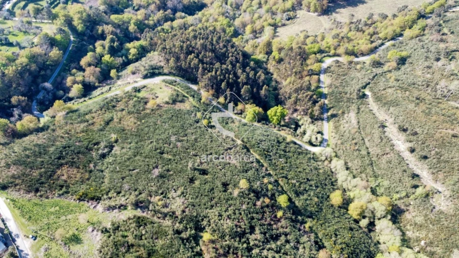 Terreno para Venda em Gondufe Foto 26
