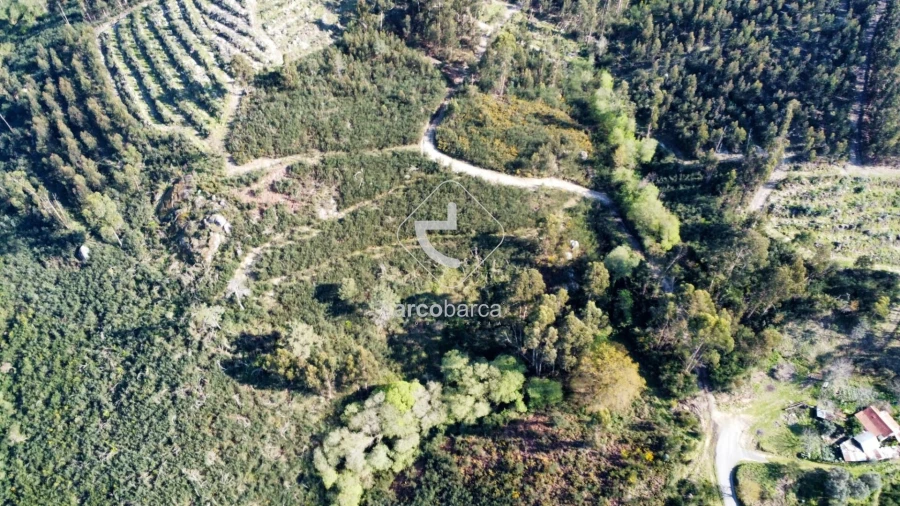 Terreno para Venda em Gondufe Foto 17