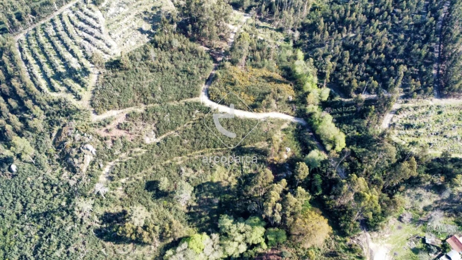 Terreno para Venda em Gondufe Foto 18