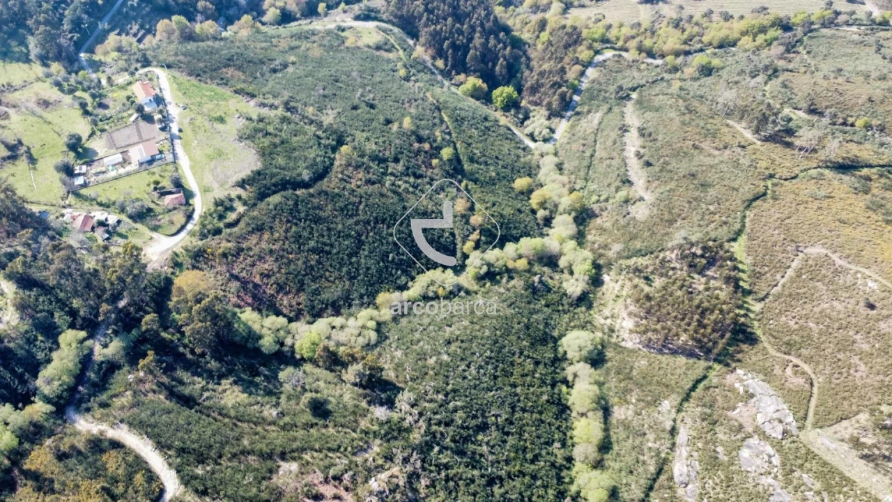 Terreno para Venda em Gondufe Foto 23