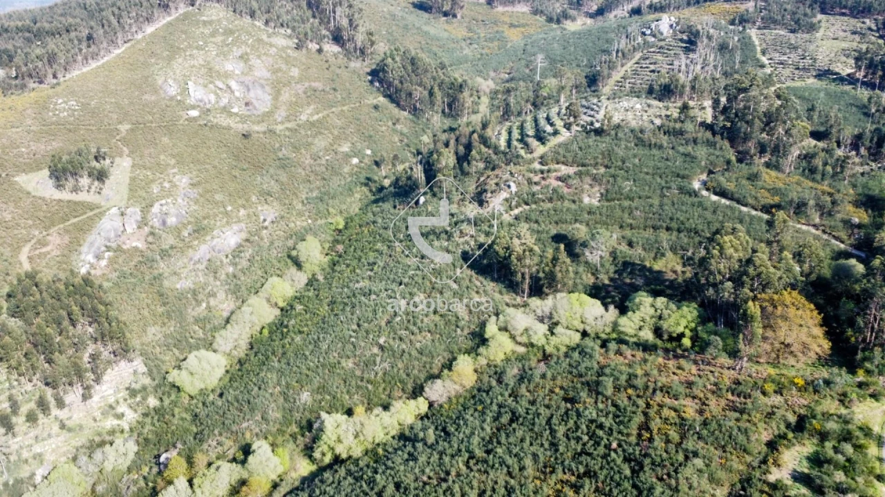 Terreno para Venda em Gondufe Foto 14