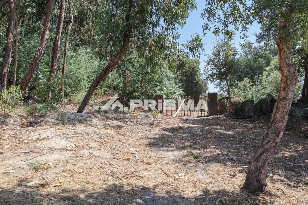 Quinta T1 para Venda em Louriçal do Campo Foto 47