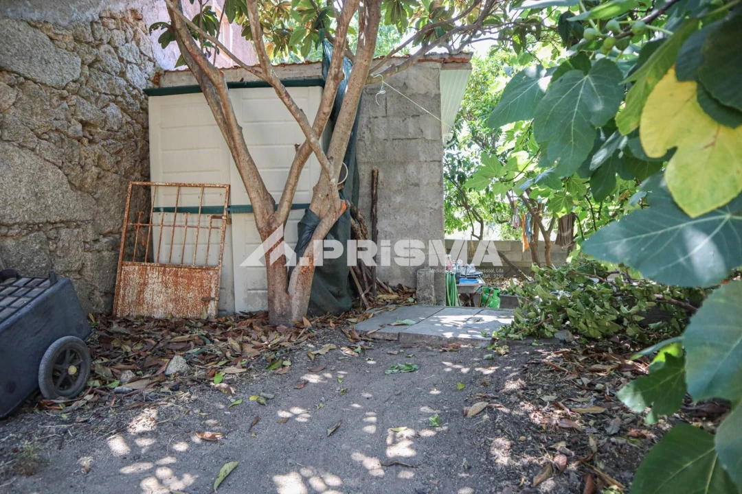 Quinta T1 para Venda em Louriçal do Campo Foto 43