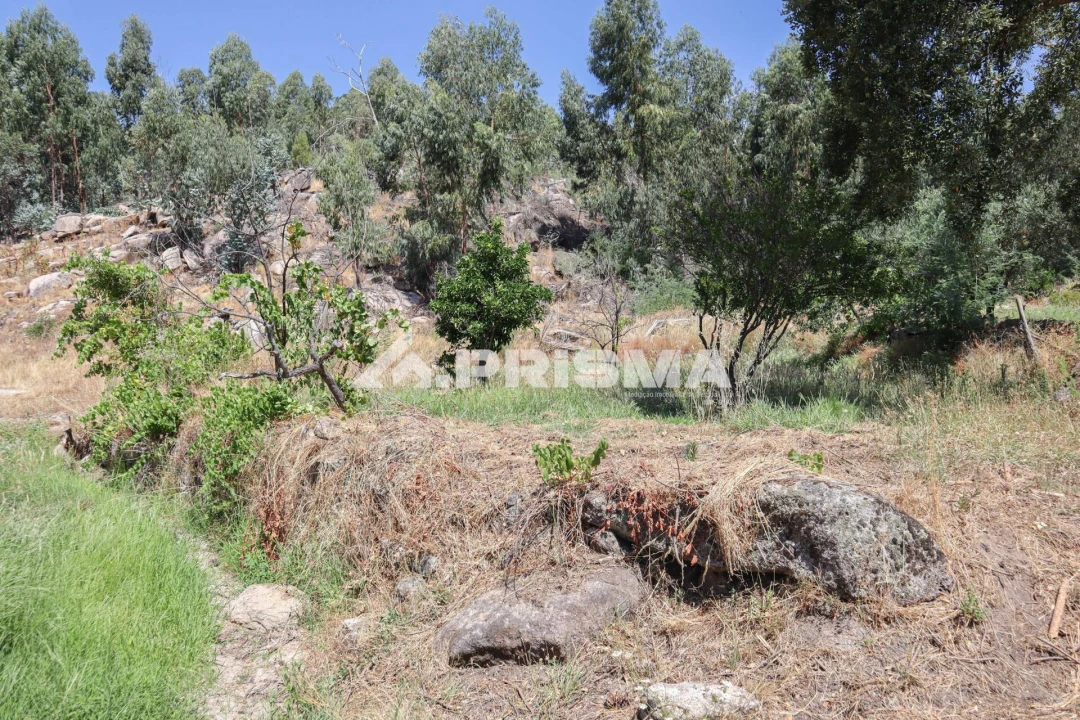 Quinta T1 para Venda em Louriçal do Campo Foto 52