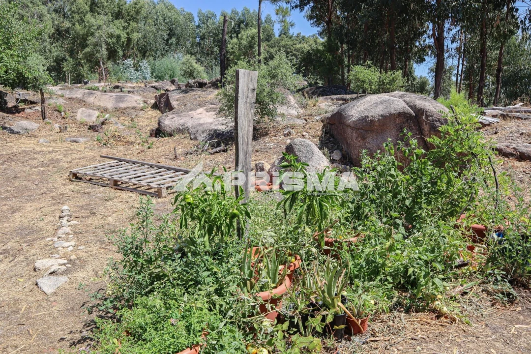 Quinta T1 para Venda em Louriçal do Campo Foto 16