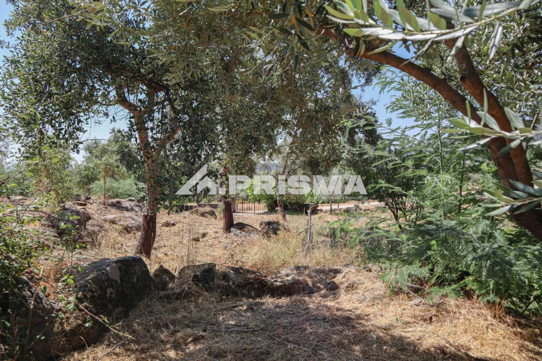 Quinta T1 para Venda em Louriçal do Campo Foto 50