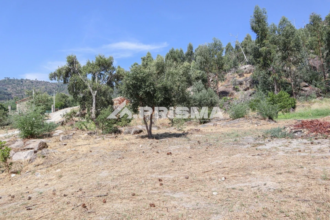 Quinta T1 para Venda em Louriçal do Campo Foto 23