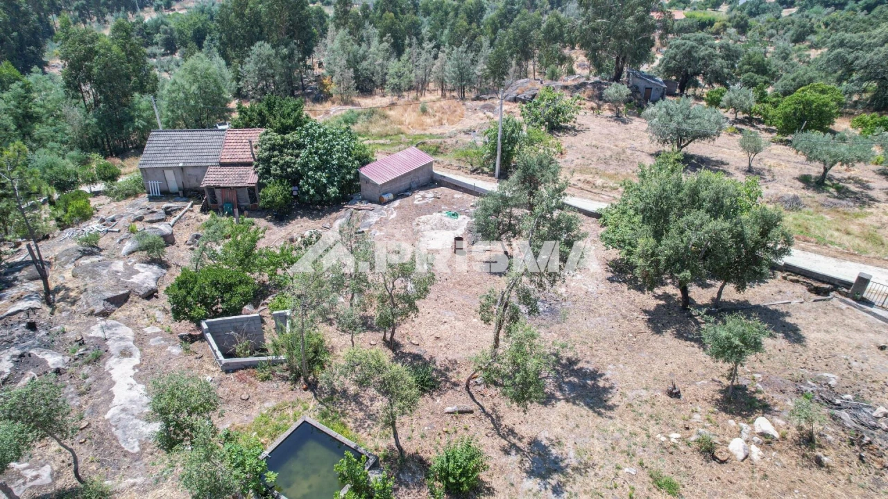 Quinta T1 para Venda em Louriçal do Campo Foto 6