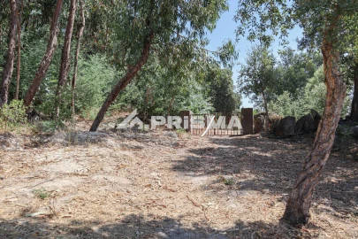 Quinta T1 para Venda em Louriçal do Campo