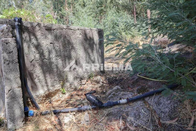 Quinta T1 para Venda em Louriçal do Campo