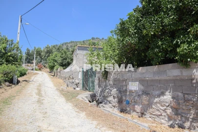 Quinta T1 para Venda em Louriçal do Campo